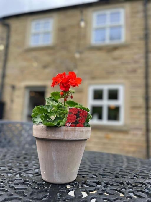 Olive Holiday Cottage Matlock Matlock  Exterior foto